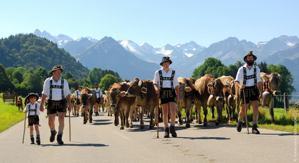 Hornblick Fewo- Ab Mai Freie Fahrt Mit Bergbahnen Oberstdorf Luaran gambar